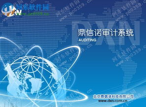 鼎信諾5000破解版下載與使用風險解析